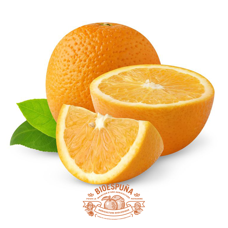 Oranges bio